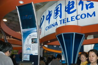 2004中國(guó)國(guó)際通信設(shè)備技術(shù)展 中國(guó)電信展臺(tái)技術(shù)服務(wù)縱覽